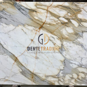 CALACATTA MACCHIA VECCHIA "OMG" #10904 3CM POLISHED 124"± X 73"±